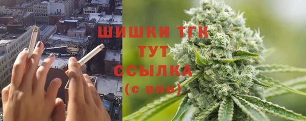 гашик Белоозёрский