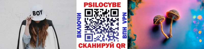 купить наркоту  Воркута  Псилоцибиновые грибы Magic Shrooms 